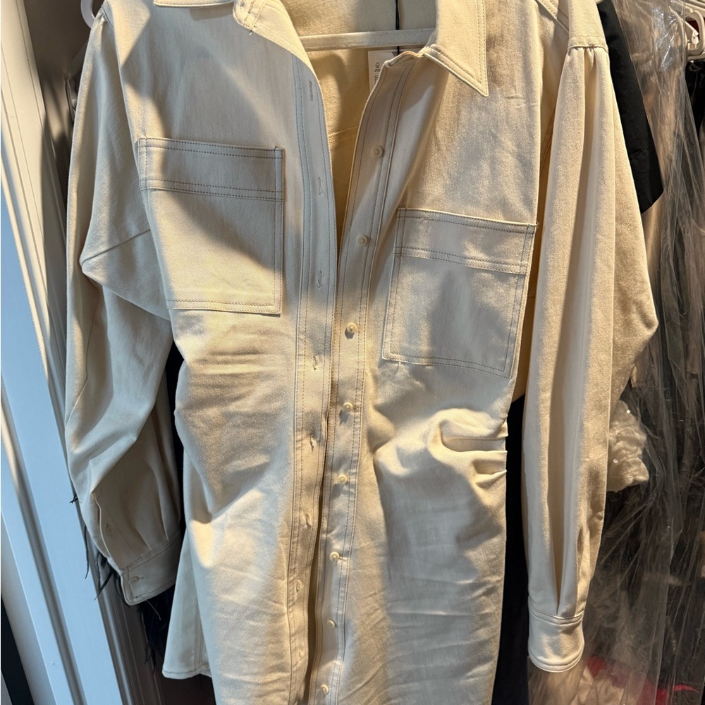 Zara Cream Button-Up Dress